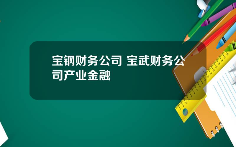 宝钢财务公司 宝武财务公司产业金融